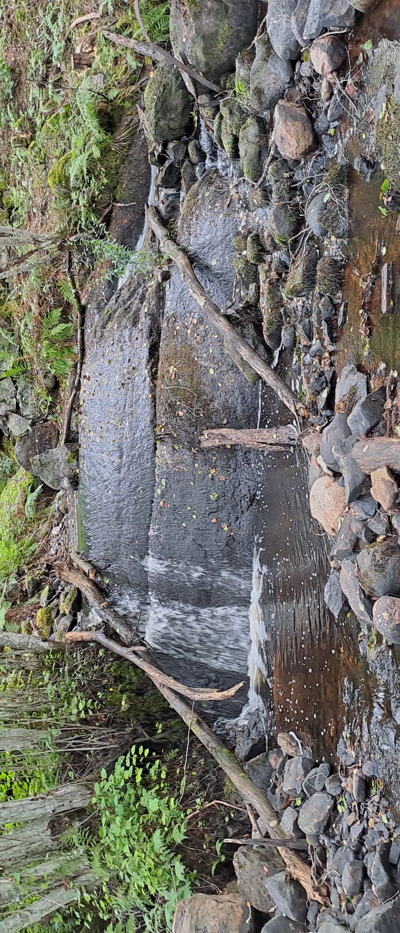 Jokimaisema Lanajoen suojelualueella, keskellä joki, taustalla metsää